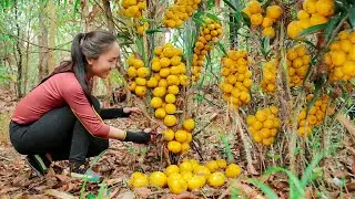 4K Harvesting Gooseberry And Go to Market Sell | 2 years alone in the forest