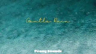 Gentle Rain ASMR | 비오는 소리 ASMR (8 hours / dark screen after 1 min)