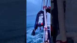 Life at the most dangerous sea #northsea #waves #ship