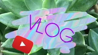 Школьный VLOG/ДАША NICE