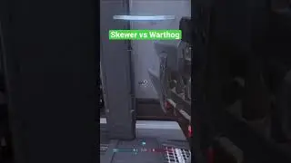 Skewer vs Warthog