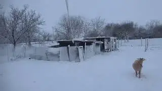 12 января 2024г Снежная красота...