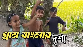 গ্রাম বাংলার হারিয়ে যাওয়া কিছু দৃশ্য🇧🇩🇧🇩. বাংলাদেশের প্রকৃতি ও সৌন্দর্য,, MD SHR MEDIA..