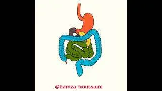 Stress - Hamza houssaini .. 💥