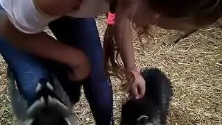 #енотики