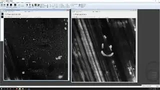 Micropoint photomanipulation guide - yokogawa spinning disk