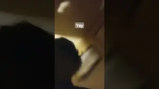 why