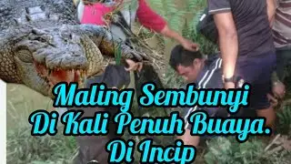 Robbers Pursue Police. Hiding in a River Full of Crocodiles. Yes In Eating.
