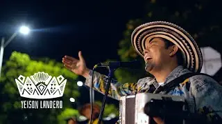 Yeison Landero - Sabor a gaita - No es negra es morena (Live) San Jacinto, Bolívar, Colombia 🇨🇴