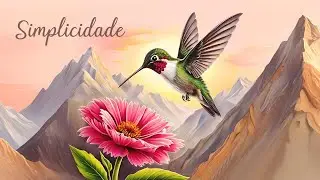 Sr. Reis - Simplicidade