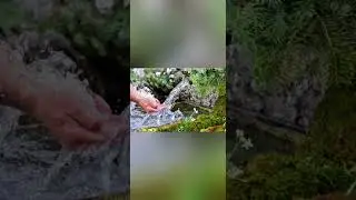 Татарская народная песня "Фазыл чишмэсе"