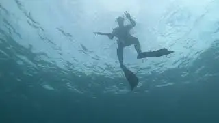 Spearfishing the Northern Beaches (Another NEW Location)