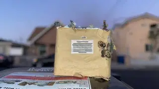 49 Shot Firework (Willow to Snowball)💥❄️