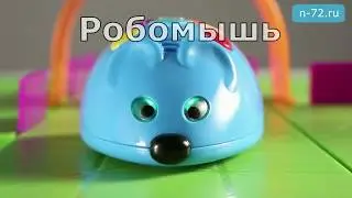 Робомышь Колби I Новация