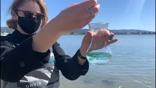 Caring for Impaired Water Bodies