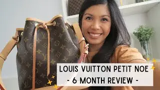 LOUIS VUITTON PETIT NOE: 6 MONTH REVIEW! Wear and tear? Is it worth it? | Michelle Orgeta