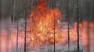 Сохондинский заповедник