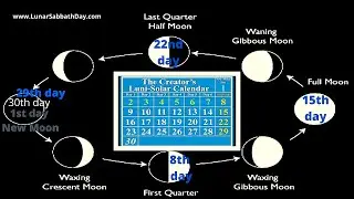 The Moon Regulates the Weekly Sabbath