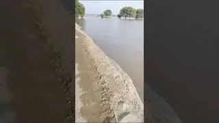طاقتور حکمران طبقے نے اپنی جیبیں بھری اپنی ہی سوچی اگر ہماری سوچتے تو ہر سال یہ دن نہ دیکھنا پڑتا