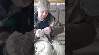 4 апреля 2024 г.