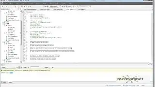 LR 24 String Manipulation in C
