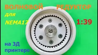 Волновой гармонический редуктор 1:39 / Wave harmonic drive 39:1