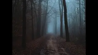 ЭКСТРЕМАЛЬНЫЕ ПРЯТКИ ЧЕЛЛЕНДЖ