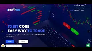 How To Design Bitcoin Investment Website With KYC, Automatic and Manual Payment with all wallets.