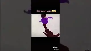 какие  же    ани   милые  😊😘❤😍😍(1)