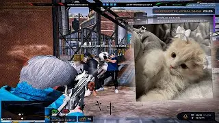 Ну давай вставай принцесса🥺🖤 gta5 rp