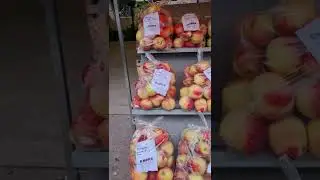 Магазины без продавцов в Германии. Построено на доверии 