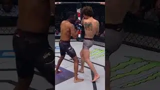 Suga Sean O'Malley's 1st UFC Fight (SPINNING HEEL KICK) vs Terrion Ware