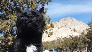 The Freedom to Roam episode 13 New Mexico
