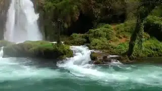 استمتع بصوت الطبيعة جميل