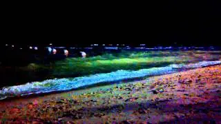 Night Pattaya Jomtien beach