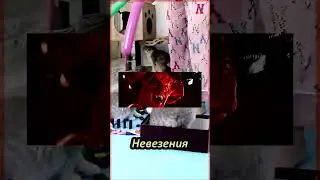 #shorts #шортс #лайк #смешное
