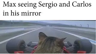 F1 Cat