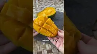 Манго Тропические фрукты 