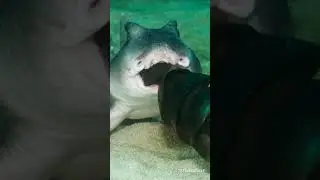 А вы, знали....?