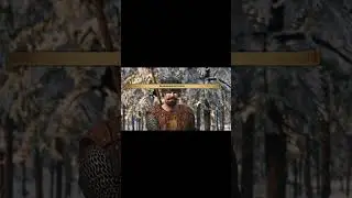 КТО У ИМПЕРАТОРА СОСТИЛИЛ?! 