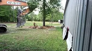 This tree did not stand a chance