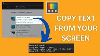 How to Copy Text from Your Screen - any video, image, or PDF