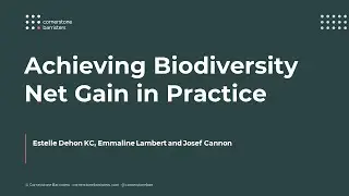 Achieving Biodiversity Net Gain (BNG) in Practice | Cornerstone Barristers