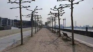 3 города на Рейне 2019. День 2. Дюссельдорф: Kunstpalast, Hofgarten, Altstadt