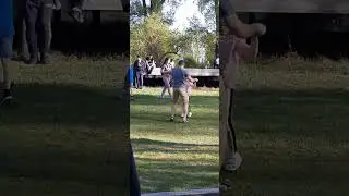 😅