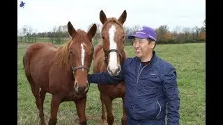 Mongolian Shopper & Saturday