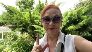 Поговорим о гортензии🤗СОРТА- ЦВЕТЕНИЕ. Фильм -2