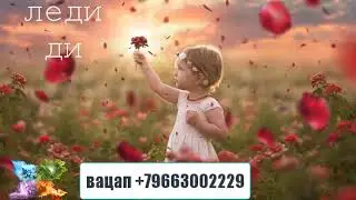 250. ЛЕДИ ДИ