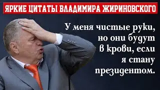 Яркие цитаты Владимира Жириновского