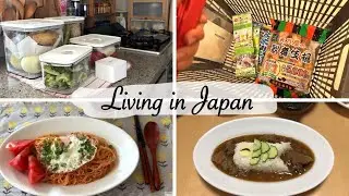 new vacuum containers to store veggies, Boy's Day dinner | japan vlog